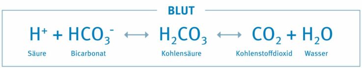Bikarbonatpuffer zur Aufrechterhaltung des pH-Wertes im Blut