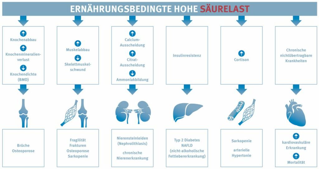 Latente Azidose – Symptome und Folgen | Säure-Basen-Forum