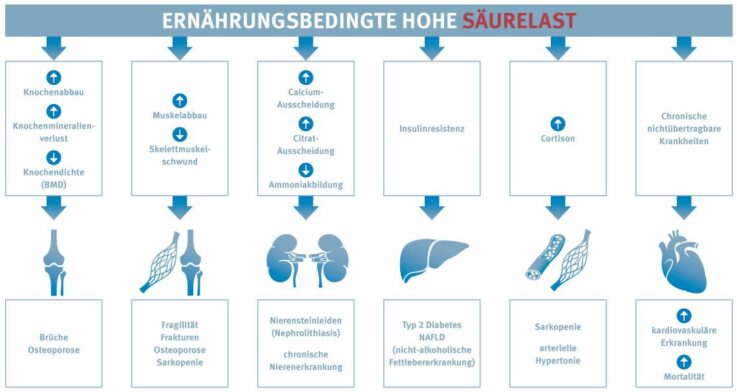 Gesundheitliche Folgen einer hohen Säurelast bedingt durch die Ernährung