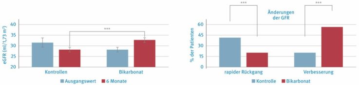 Auswirkungen einer 6-monatigen Natriumbicarbonat-Supplementierung auf die Nierenfunktion im Vergleich zur Standardtherapie