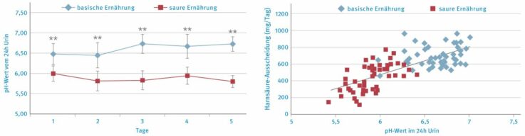 Signifikant höherer 24-Stunden-Urin-pH-Wert bei Probanden mit basischer Ernährung im Vergleich zu Probanden mit saurer Ernährung. Eine basische Ernährung führt zu höherer Ausscheidung von Harnsäure als eine saure Ernährung.