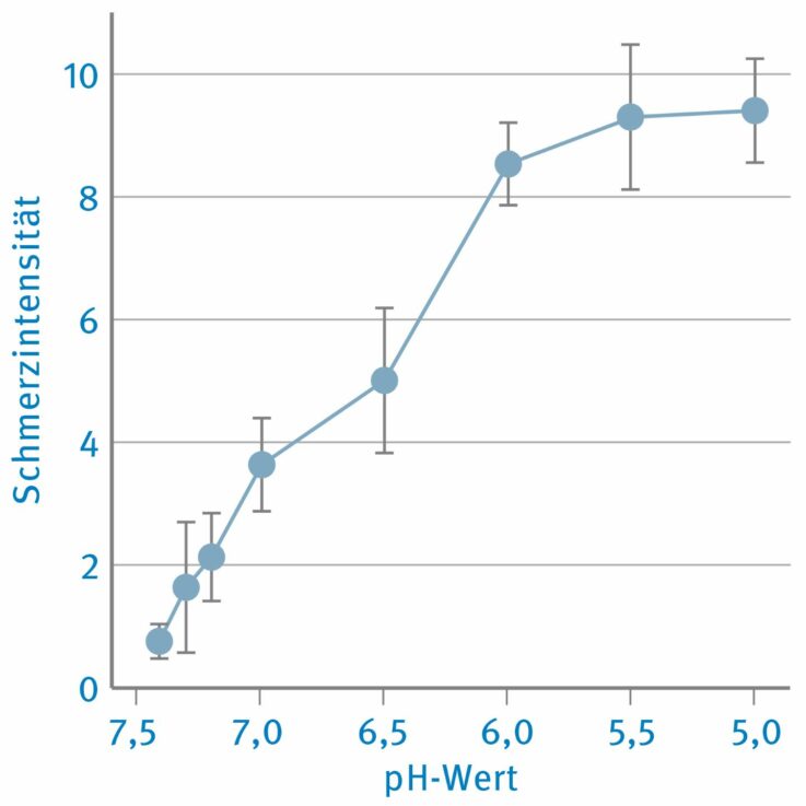 Je niedriger der pH-Wert einer Lösung ist, desto höher die Schmerzintensität.2